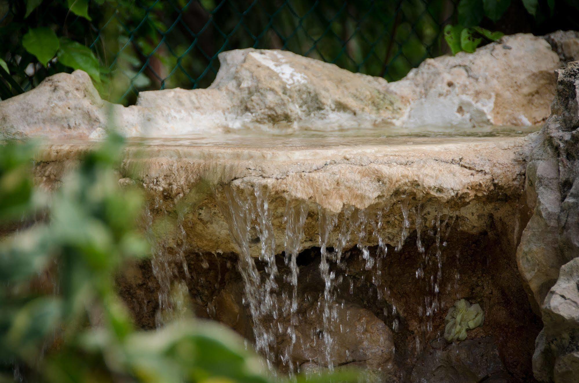 Green Oasis Home Boutique Playa del Carmen Ngoại thất bức ảnh