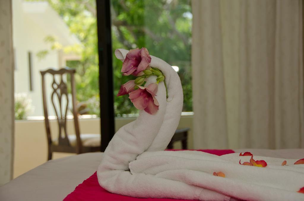 Green Oasis Home Boutique Playa del Carmen Ngoại thất bức ảnh